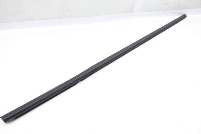Outer Door Window Slot Seal / Trim 5NN839477 main product photo