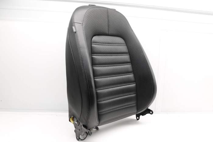 Upper Seat Backrest Assembly 3C8881806HP main product photo